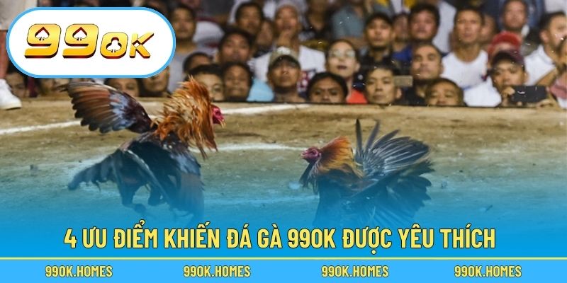 4 ưu điểm khiến đá gà 99OK được yêu thích