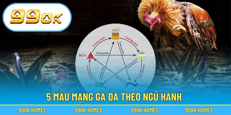 5 màu mạng gà đá theo ngũ hành