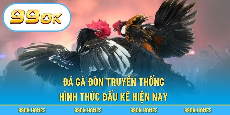 Đá Gà Đòn Truyền Thống - Hình Thức Đấu Kê Hiện Nay