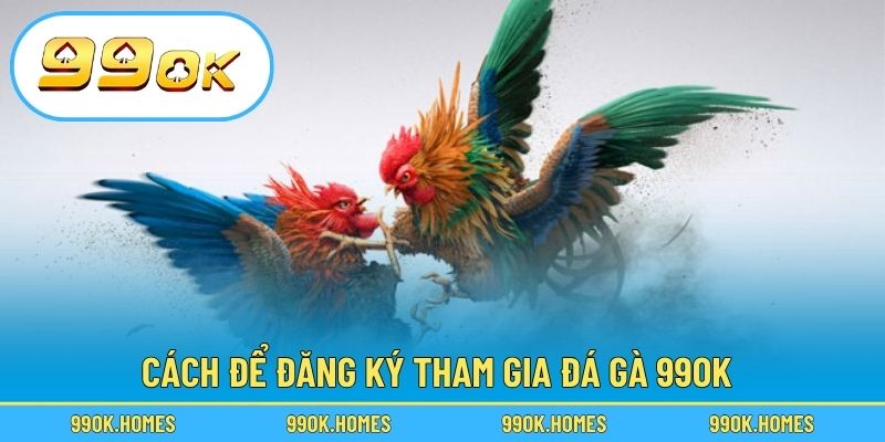 Cách để đăng ký tham gia đá gà 99OK