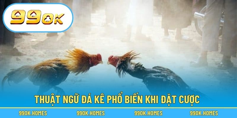 Thuật ngữ đá kê phổ biến khi đặt cược