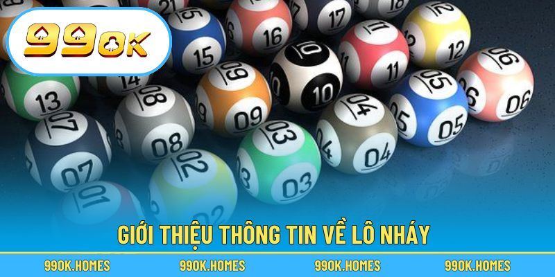 Giới thiệu thông tin về lô nháy