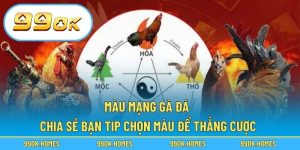 Màu Mạng Gà Đá – Chia Sẻ Bạn Tip Chọn Màu Để Thắng Cược