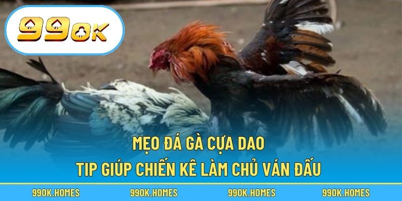Mẹo Đá Gà Cựa Dao - Tip Giúp Chiến Kê Làm Chủ Ván Đấu