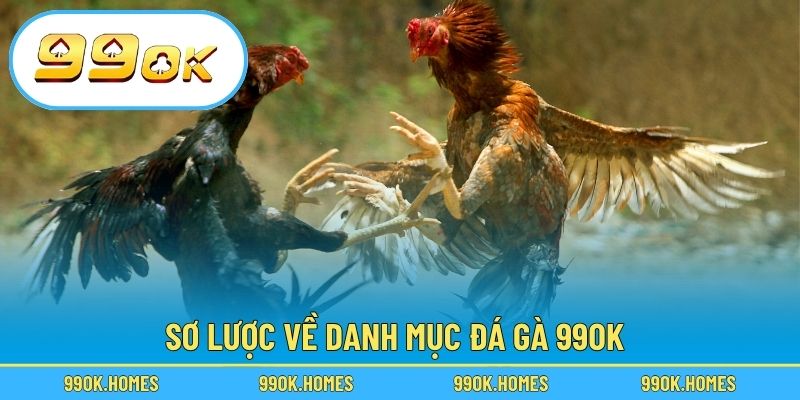 Sơ lược về danh mục đá gà 99OK