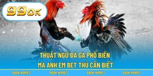 Thuật Ngữ Đá Gà Phổ Biến Mà Anh Em Bet Thủ Cần Biết