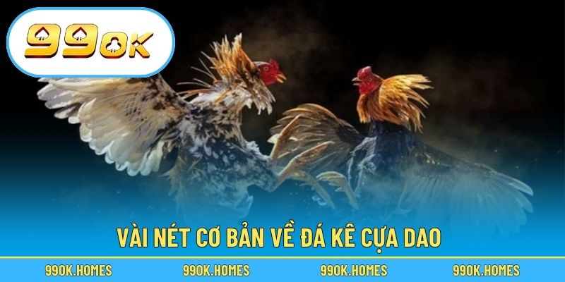 Vài nét cơ bản về đá kê cựa dao